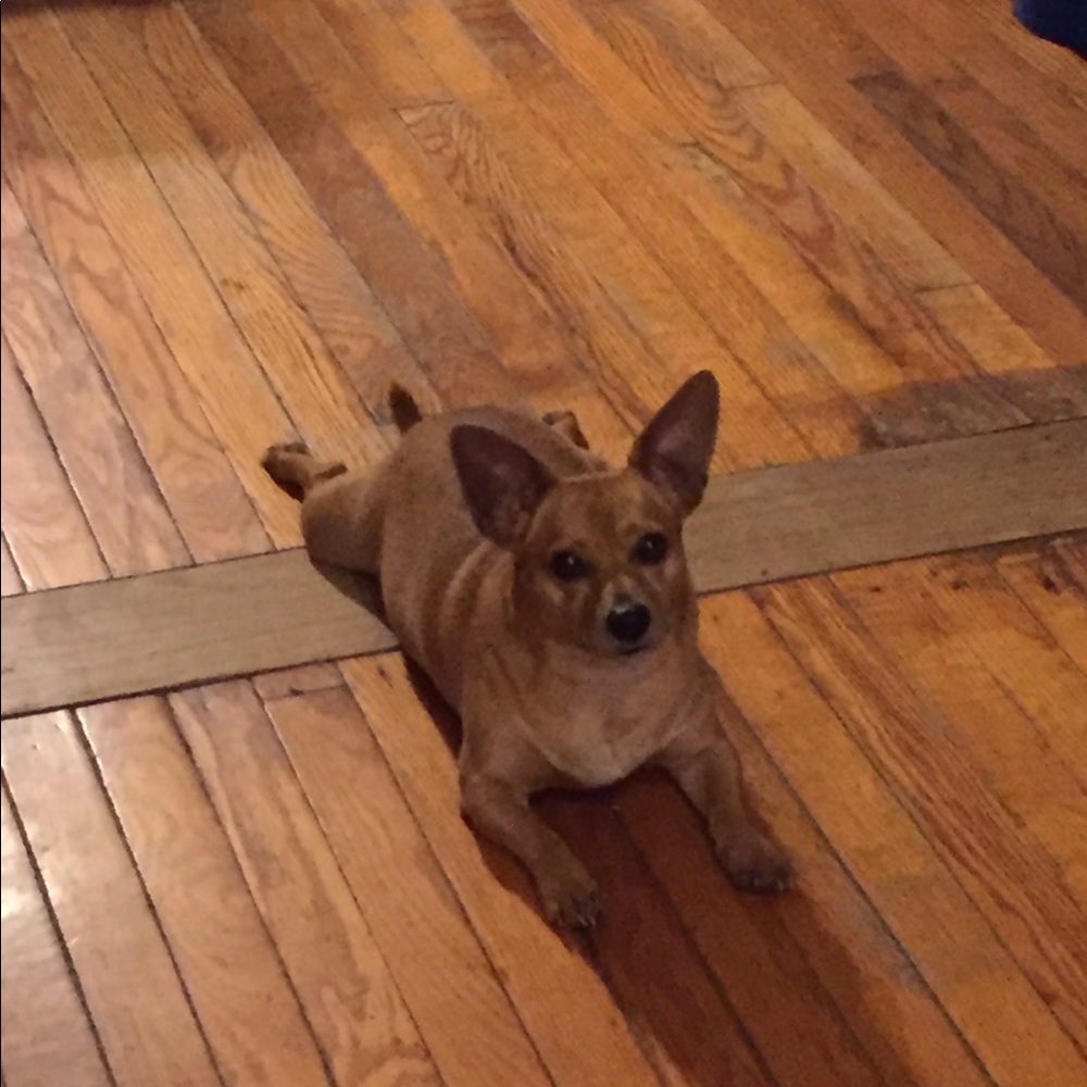 Meet your Posher, Megan